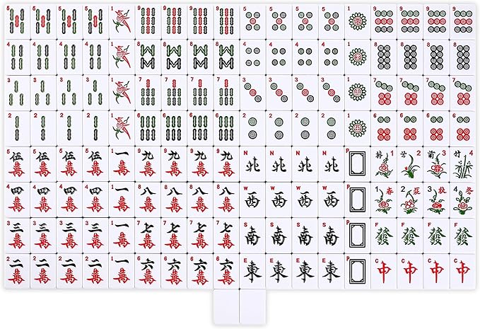 Chinese Mahjong Game Set